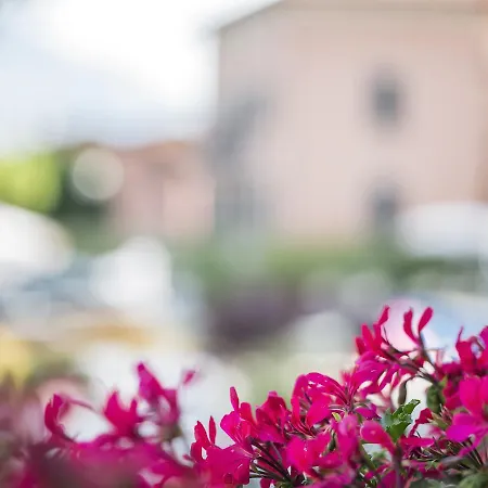 מלון Crotto Del Misto לצנו