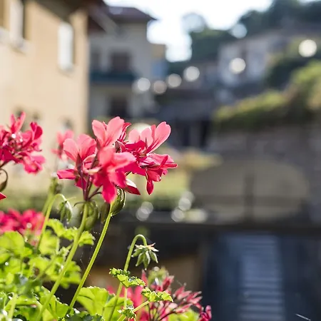 Crotto Del Misto Lezzeno