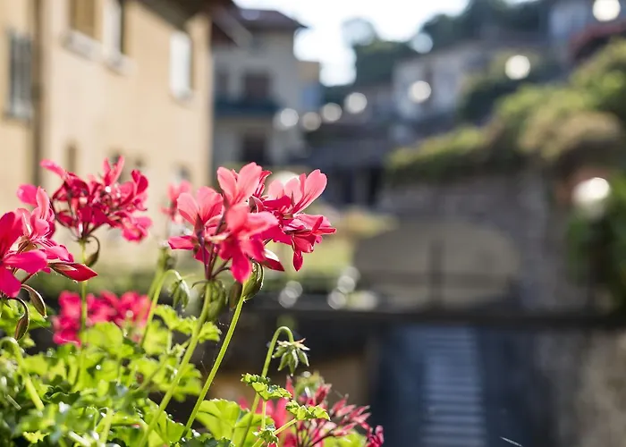 Crotto Del Misto Lezzeno