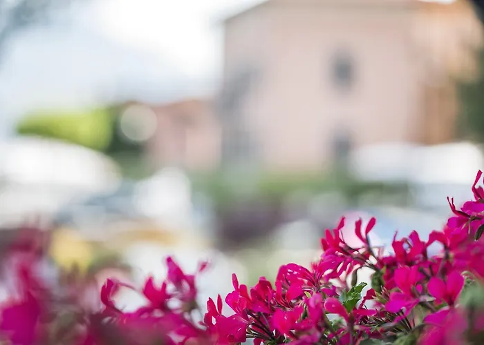 Hotel Crotto Del Misto Lezzeno