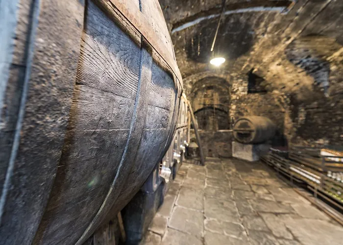 Hotel Crotto Del Misto 2*